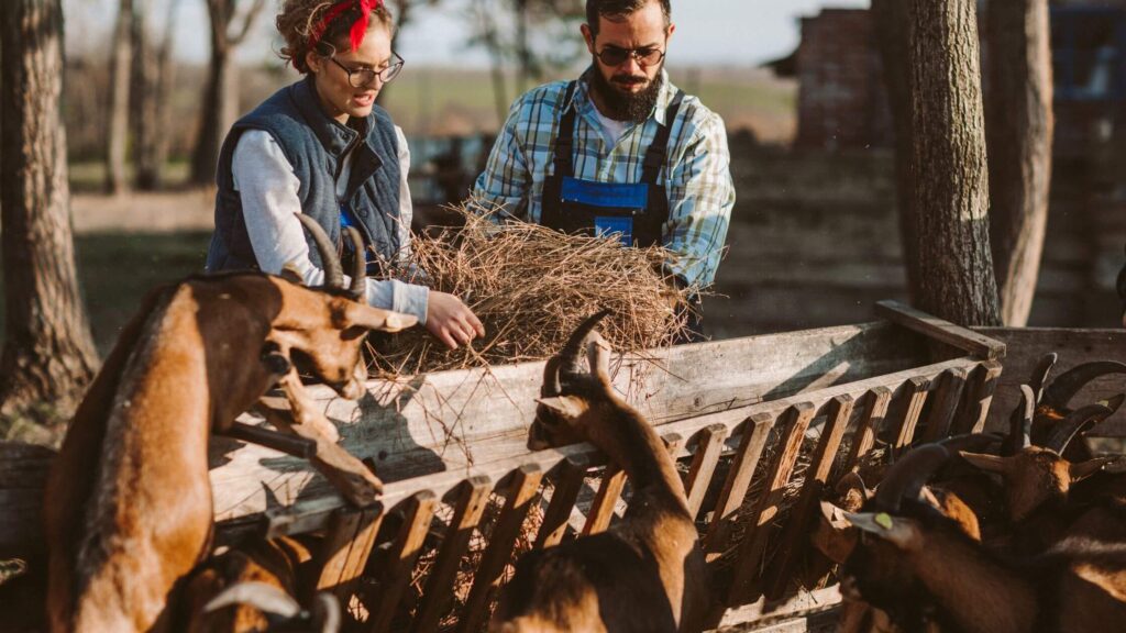 Exploring New Financing Options for Sustainable Farmers