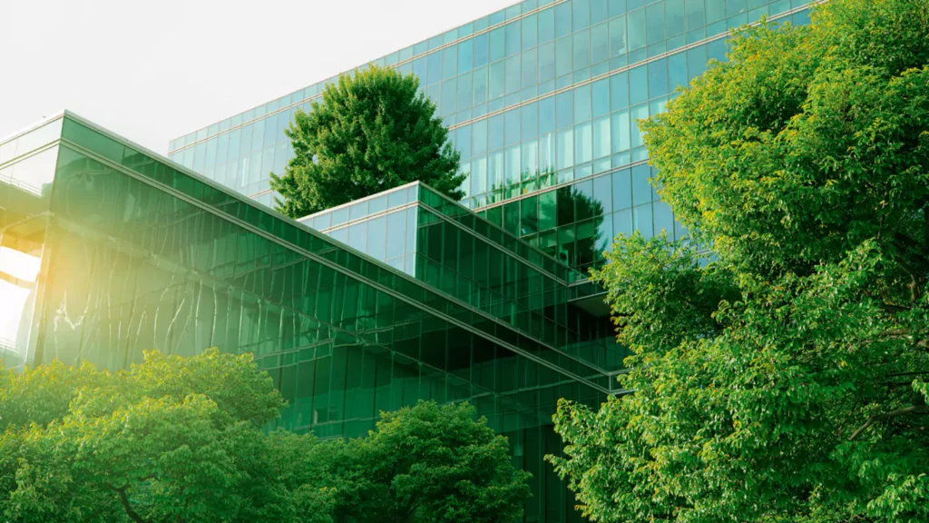 From Tree Planting to Building Sustainable Businesses